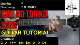 KIMI NO TORIKO SONG  Guitar Tutorial  with CHORDS and STRUMMING PATTERNS [upl. by Hsaniva]