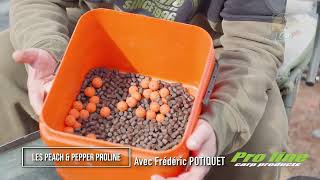 Bouillette IDÉALE pour petite CARPE  Pro Line [upl. by Revorg122]