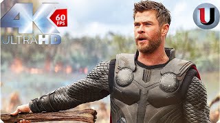 Thor Arrives In Wakanda Scene  Avengers Infinity War  MOVIE CLIP 4K [upl. by Pubilis]