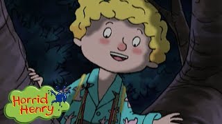 Horrid Henry  The Fairy l Videos For Kids  Horrid Henry compilation mix  HFFE [upl. by Oloapnaig334]