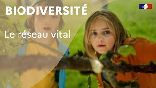 Biodiversité  le réseau vital [upl. by Riggall]