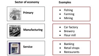 Sectors of the economy [upl. by Thurlow536]