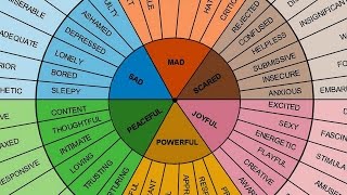 Understanding English adjectives  Canguro English [upl. by Nelehyram]