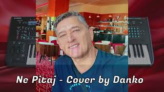 Ne Pitaj  Cover Danko [upl. by Stretch890]