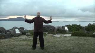 Between Heaven and Earth  full 20 minute Qigong practice session [upl. by Asiat]