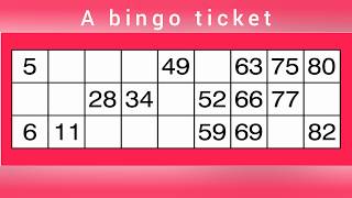 How to play bingo  Easy guide [upl. by Assecnirp990]