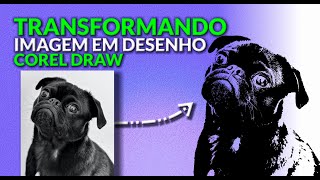 Como fazer foto de cachorro em desenho vetor usando o CorelDRAW X6 [upl. by Nya338]