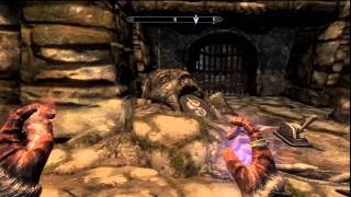 Skyrim  Golden Claw Quest BEST TUTORIAL How To Solve Pillars Puzzle [upl. by Oleic]