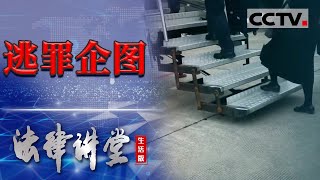 《法律讲堂生活版》空姐利用职务之便 指挥同事接收代购物品被抓现行 20240309  CCTV社会与法 [upl. by Aivax174]