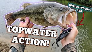 They ONLY wanted the PLOPPER  Summer Topwater Bank Bass Fishing  Whopper Plopper 130 [upl. by Nnylireg]