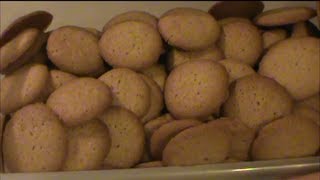 Homemade Vanilla Wafers [upl. by Anahsahs412]