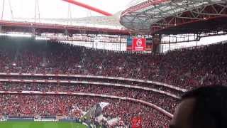 O voo espetacular da águia do Benfica  Estádio da Luz  Lisboa [upl. by Selimah176]