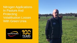 Nitrogen Applications in Pasture and Preventing Volatilisation Losses with Green Urea [upl. by Marni]