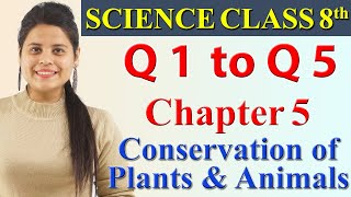 Q1 to Q5  Chapter 5  Conservation of Plants and Animals  Science Class 8 CBSE [upl. by Elvah728]