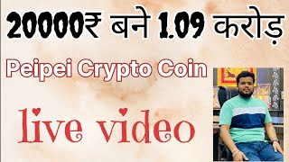 109 Cr Profit Show In Crypto PeiPei Coin Full Video I CoinDcx Scam I Pei Pei Coin Big Update [upl. by Tierell]