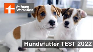 Test Hundefutter 2022 Das Wichtigste zur HundeErnährung  Welpenfutter amp HundeNassfutter im Test [upl. by Farro]