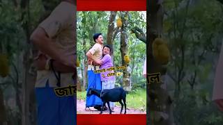 ছাগল চুরি করে কোরবানির হাটে বিক্রি😱shorts drama [upl. by Sowell]