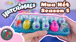 Review hết trứng bất ngờ của Hatchimals Season 5 tìm thấy Limited Edition ToyStation 427 [upl. by Barhos488]