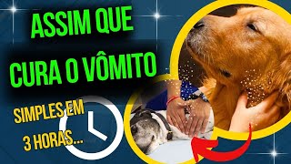 Causas do Vomito ou Regurgitação nos Cães Alimentação Inadequada ou Outras doenças [upl. by Jea]