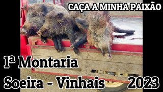 🐗1ª Montaria em Soeira Vinhais  TrásosMontes🐗 [upl. by Nnylsoj]